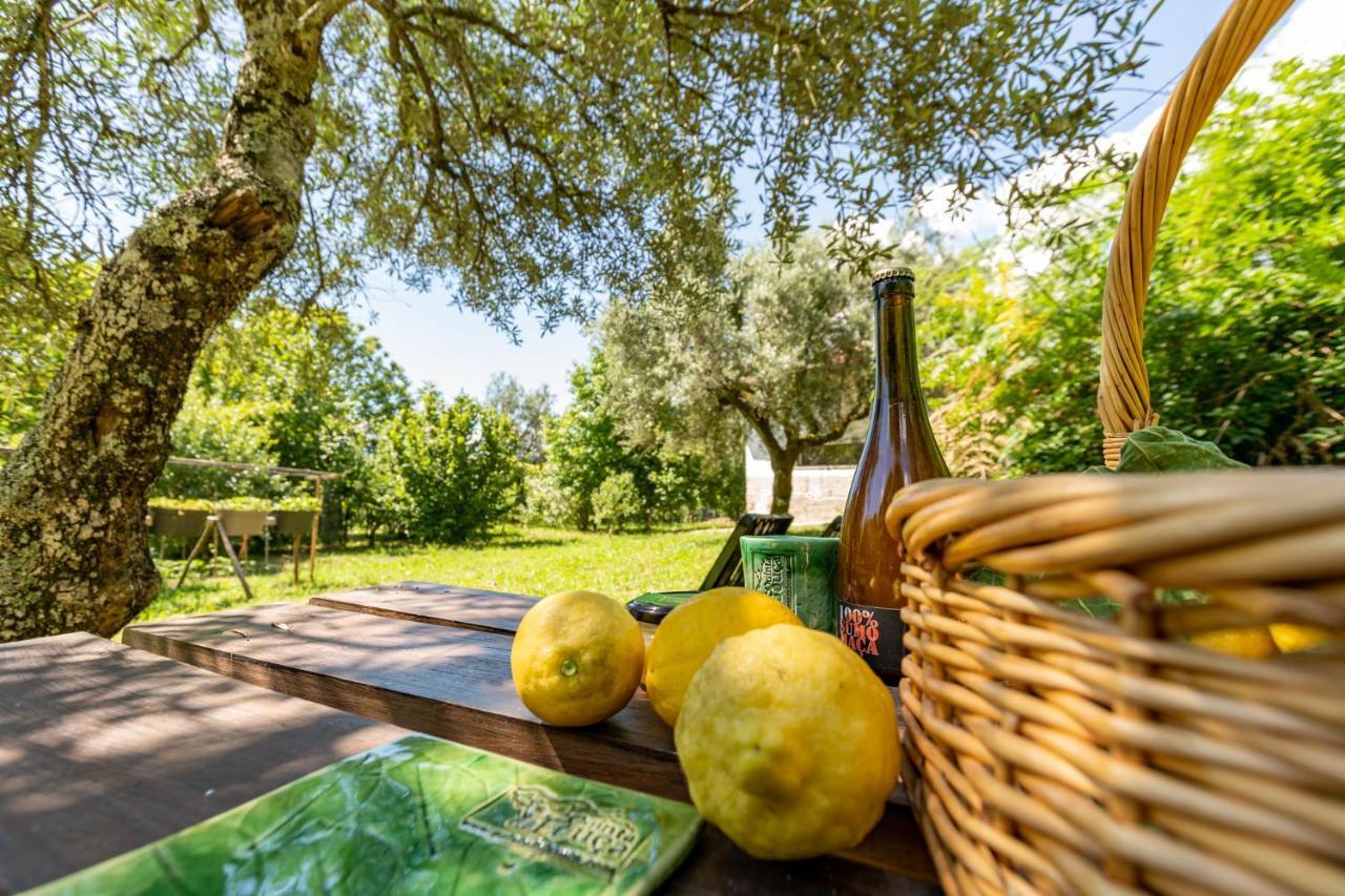Casa Da Eira "Lavoura Da Bouca - Fruta Bio" Villa Celorico De Basto Eksteriør billede