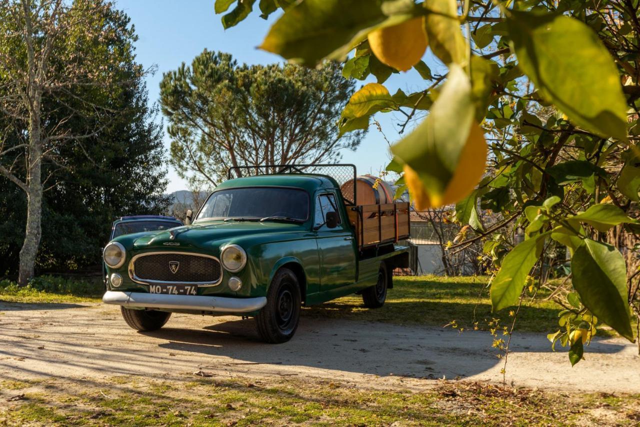 Casa Da Eira "Lavoura Da Bouca - Fruta Bio" Villa Celorico De Basto Eksteriør billede