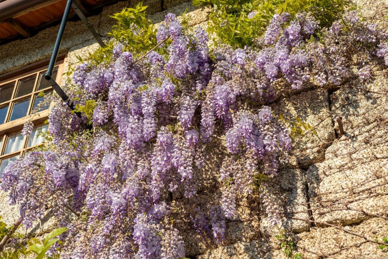 Casa Da Eira "Lavoura Da Bouca - Fruta Bio" Villa Celorico De Basto Eksteriør billede