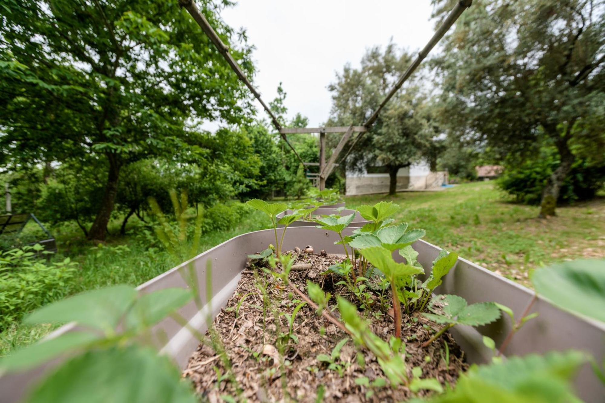 Casa Da Eira "Lavoura Da Bouca - Fruta Bio" Villa Celorico De Basto Eksteriør billede